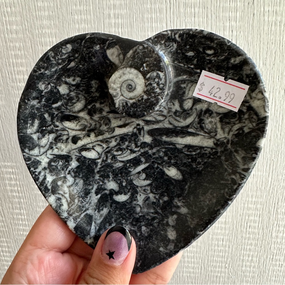 Ammonite Fossil Crystal Bowl - NWT